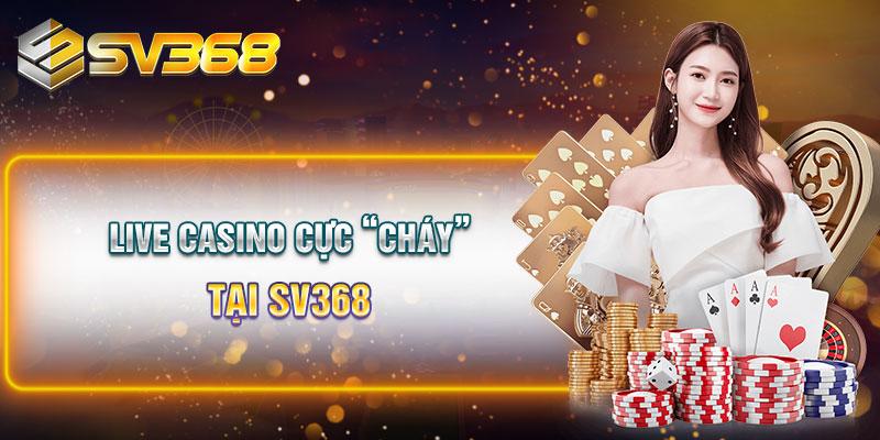 Live casino với dealer nhiệt huyết