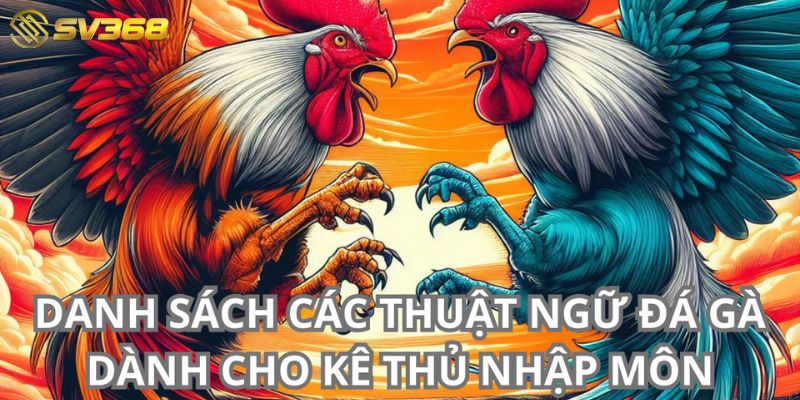 Danh sách các thuật ngữ trong đá gà cơ bản cho người mới nhập môn